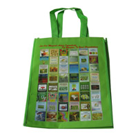 孝感LB11覆膜无纺布广告袋